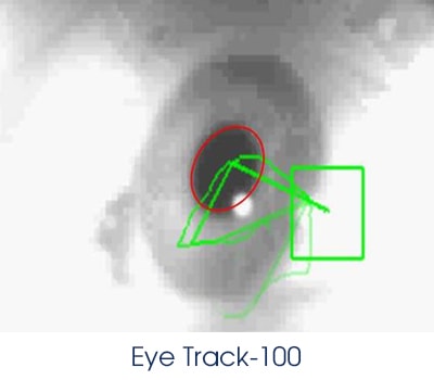 Eyetracking